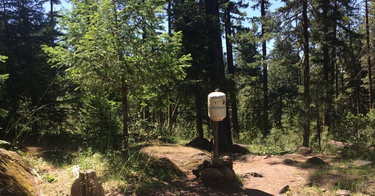 Cones & Tones Alternative Disc Golf Targets That Almost Stuck