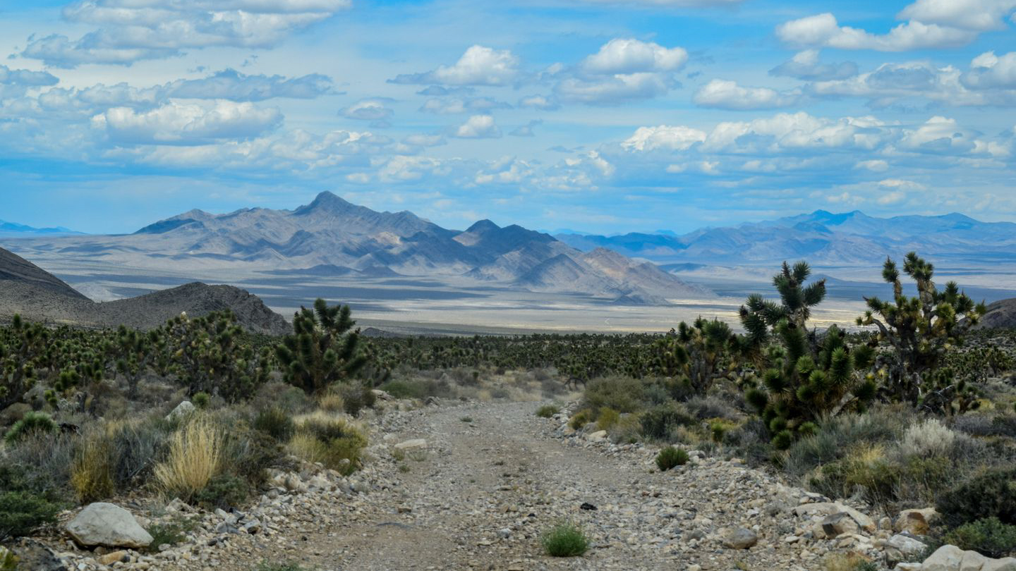 Jeep Badge of Honor Trails Trails Offroad