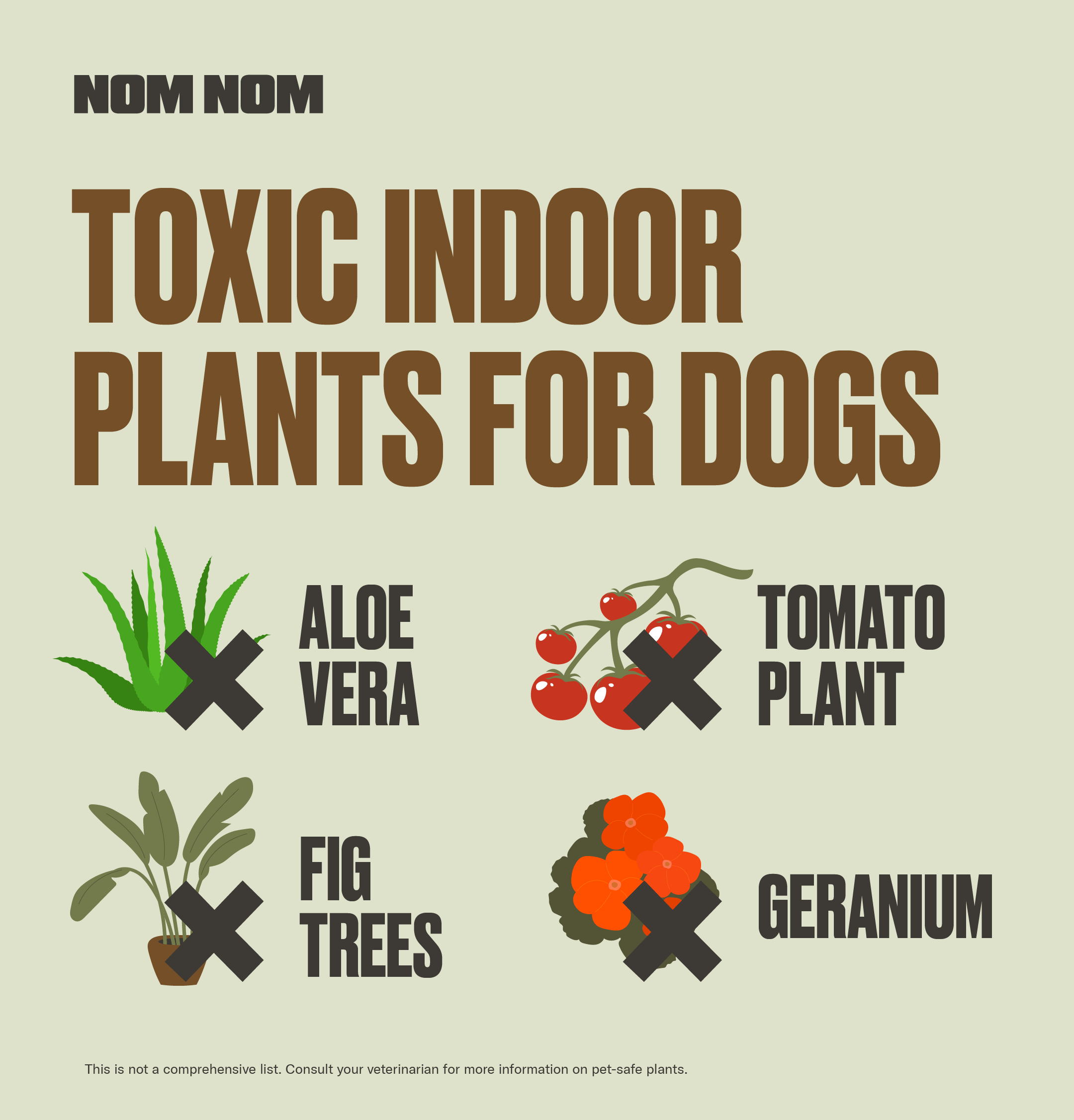 Do Dogs Eat House Plants