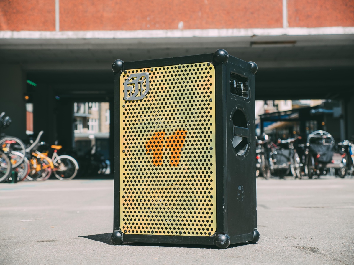 îndesi comerț A invita painting speaker grill Email consoană variabil