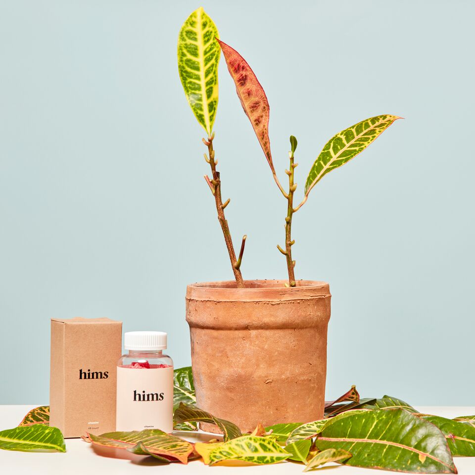 Selenium Hair Loss Does Too Much Selenium Cause Hair Loss? Hims