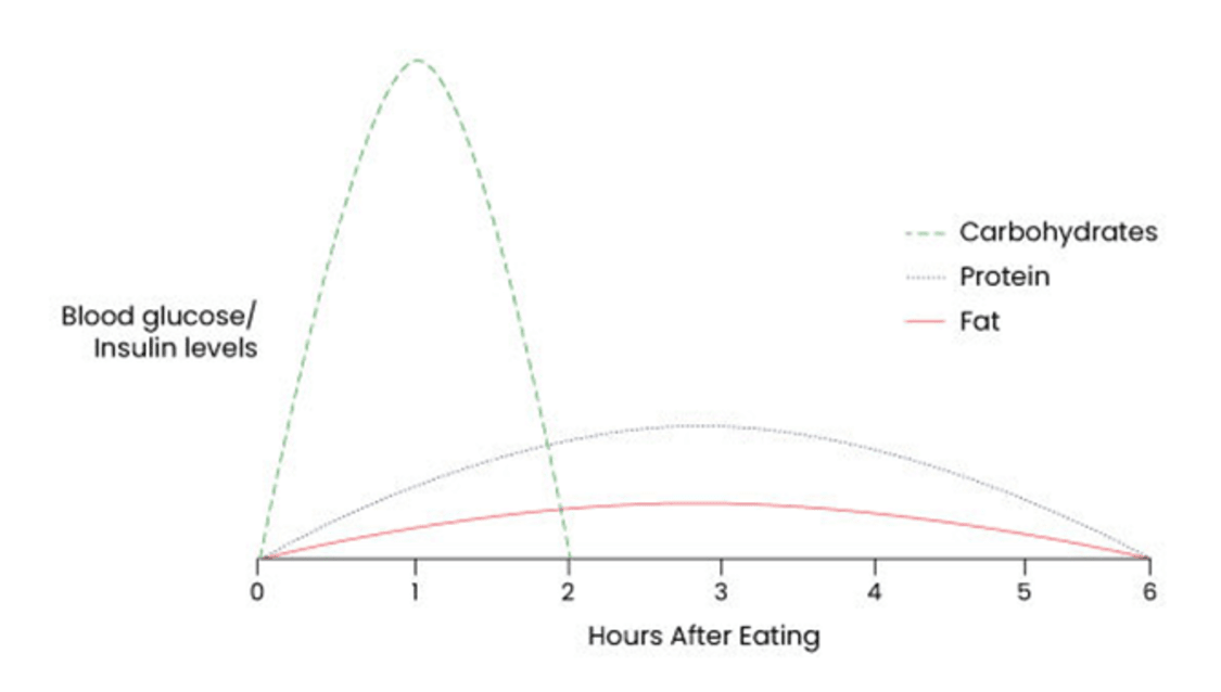 The importance of blood glucose Articles