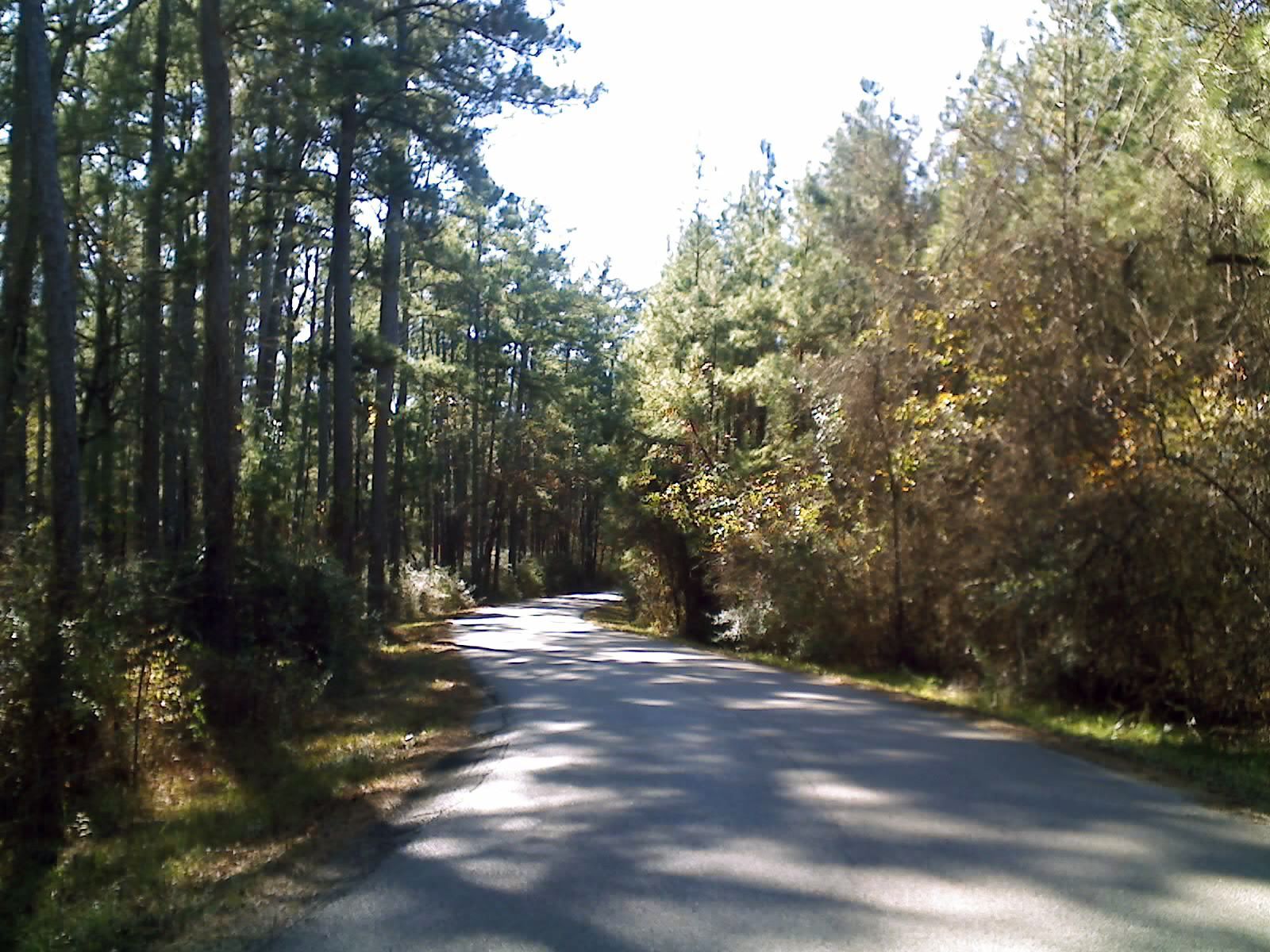 Motorcycle Rental in Houston Texas BMW, Harley, Ducati Twisted Road