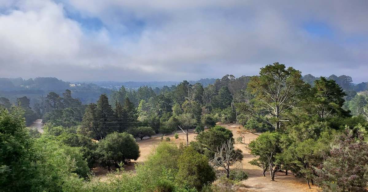 The 5 Best Disc Golf Courses In Each U.S. State 2022 Release Point