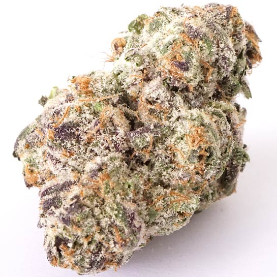 Cherry Kush Strain Profile MAMA'S GANJA