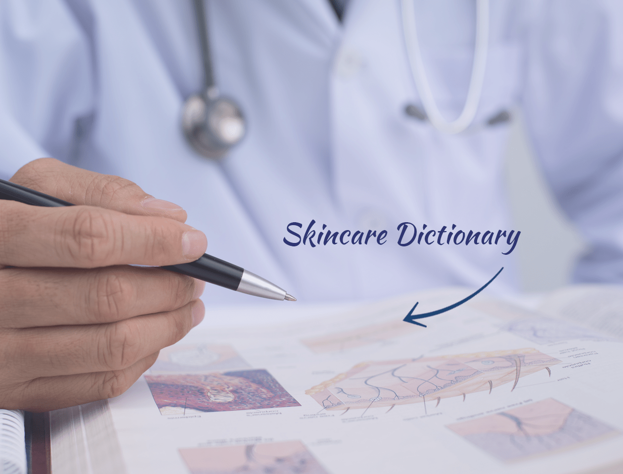 Skin Care Dictionary and Vocabulary