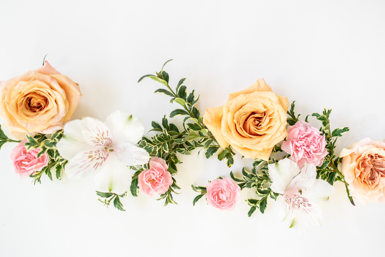 Which Flowers Mean Sympathy?