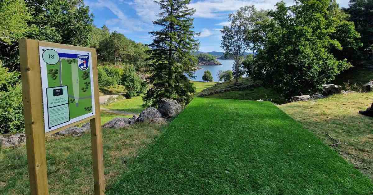 What Are The Best Disc Golf Tee Pads For Your Course? Release Point