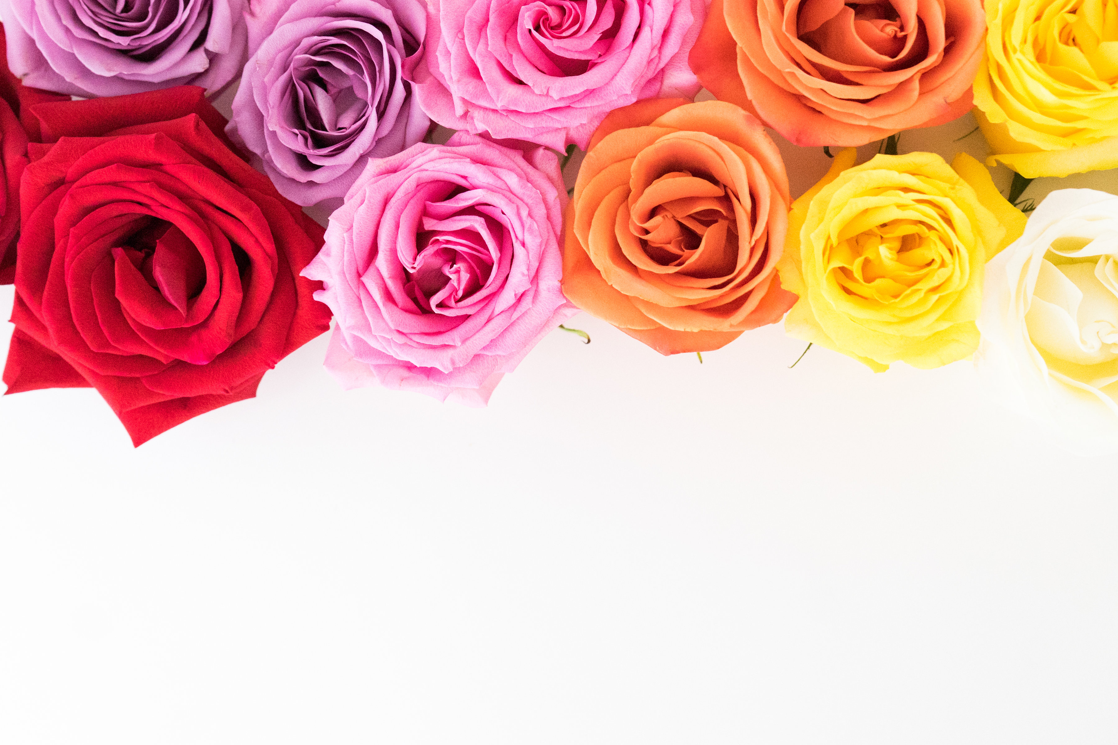 Best Images Of Flowers Best Flower Site