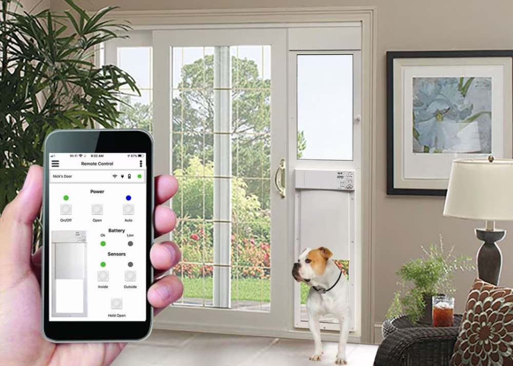 The Best HighTech Gadgets For Dogs & Dog Lovers in 2024