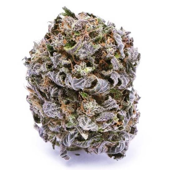 Blueberry Strain Profile MAMA'S GANJA