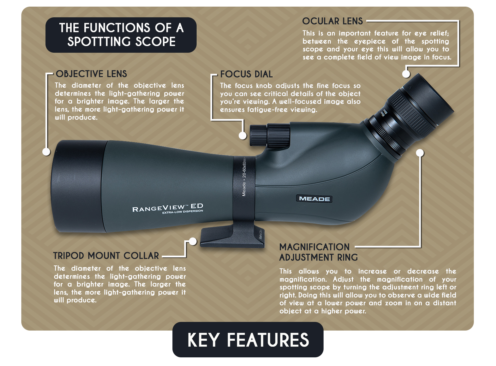 Beginner's Guide For Birders