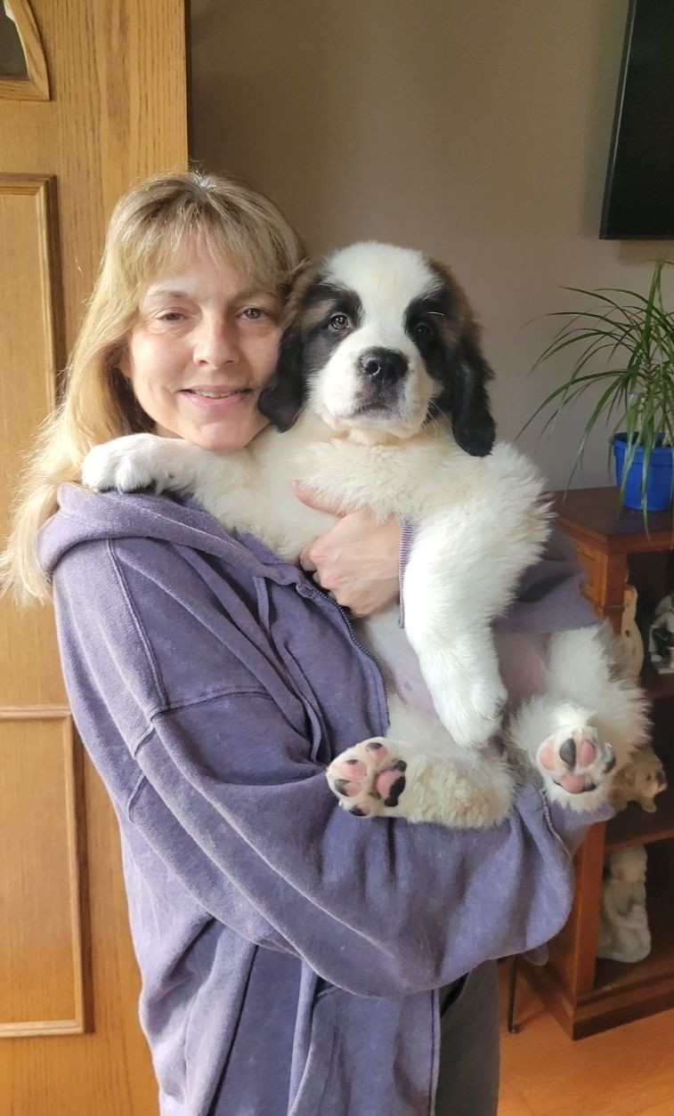 The Ultimate St. Bernard Puppy Ownership Guide