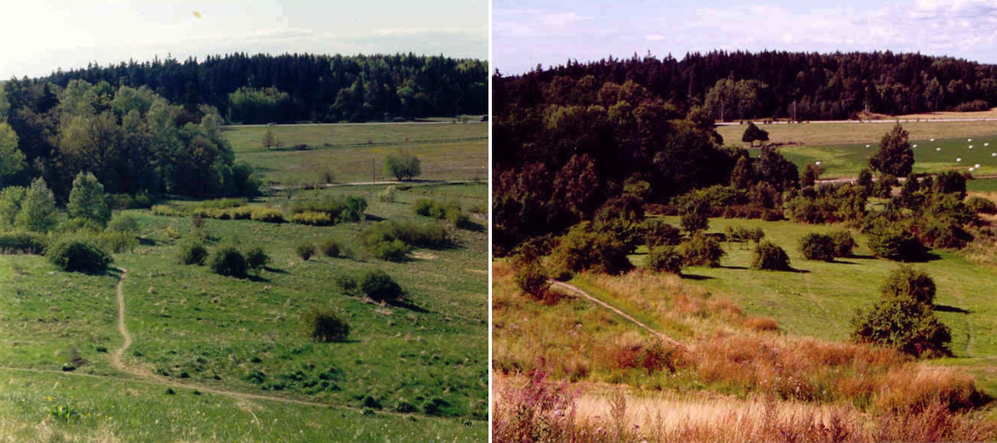 World's Best Disc Golf Courses Järva Disc Golf Park, Stockholm, Sweden