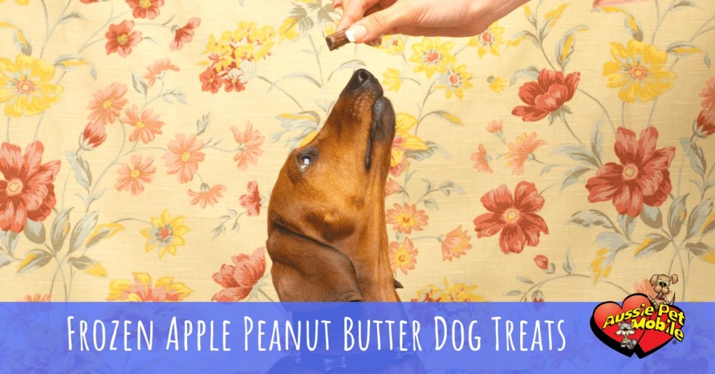 DogFriendly Thanksgiving Foods & 17 Homemade Fall Treats For Your