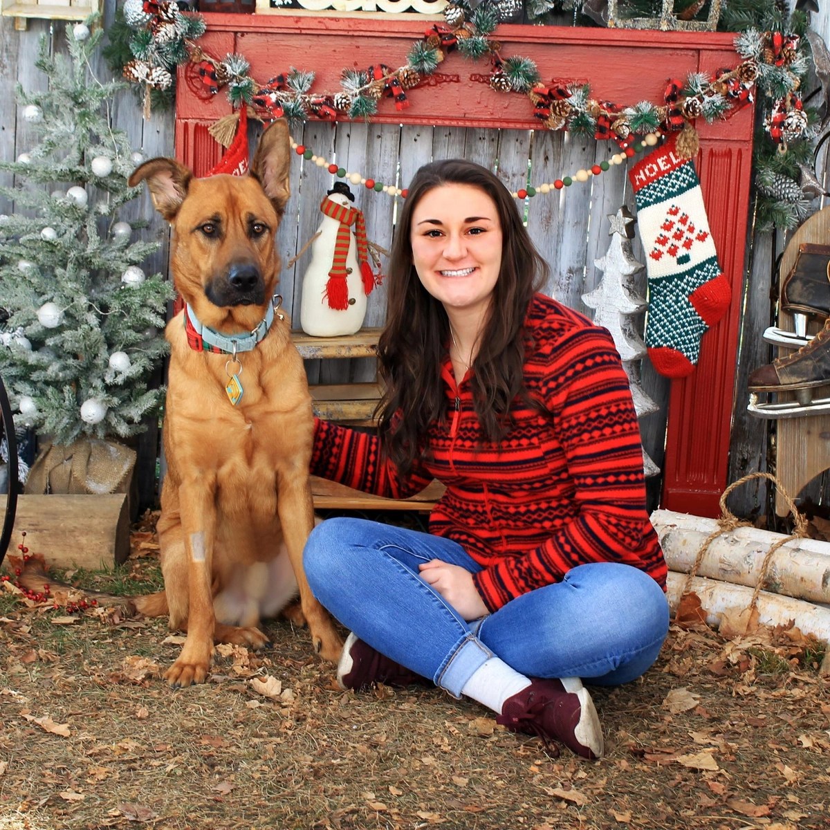 Our Team is Dedicated to Helping Save Pets' Lives