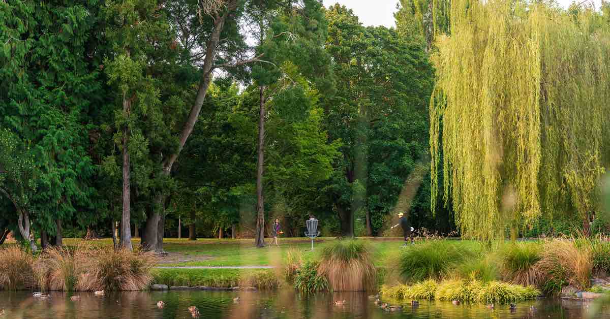 Why Disc Golf Is Booming In Christchurch, New Zealand Release Point