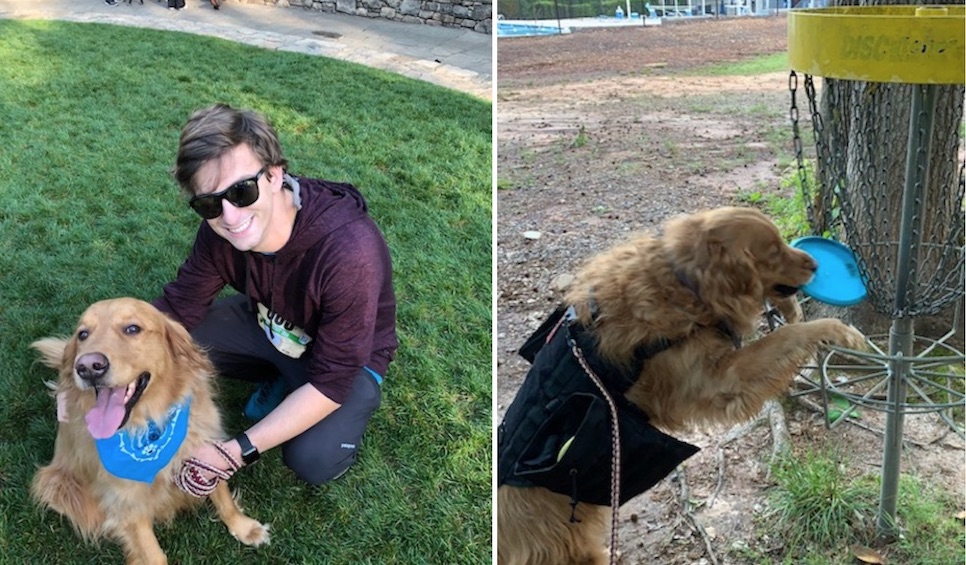 Barking Up The Right Tree Tips For Disc Golf Dogs Release Point