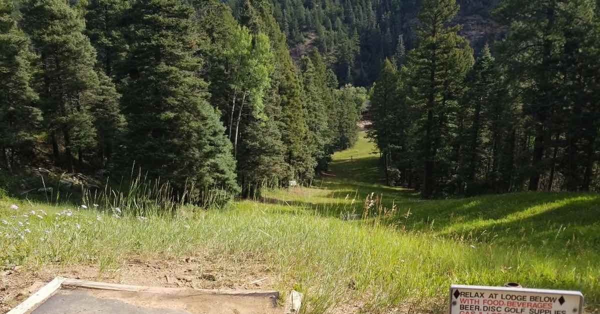 The 11 Best Disc Golf Courses At Ski Areas 2023 Release Point The