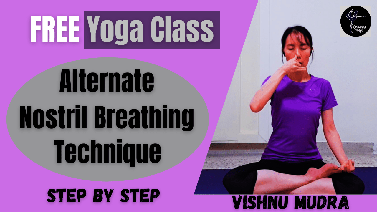 Mindful Yoga Challenge Downward Facing Dog — Katimera Yoga