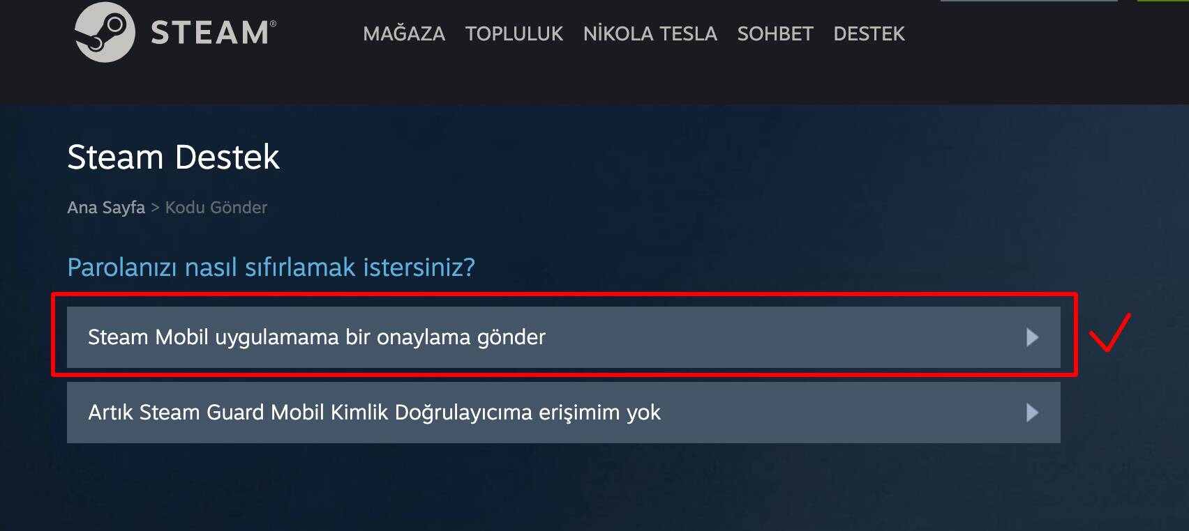 Steam Api Key Dolandırıcılığı ByNoGame