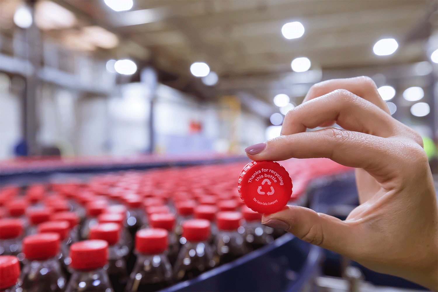 CocaCola Amatil's 100 recycled bottles in line award Convenience