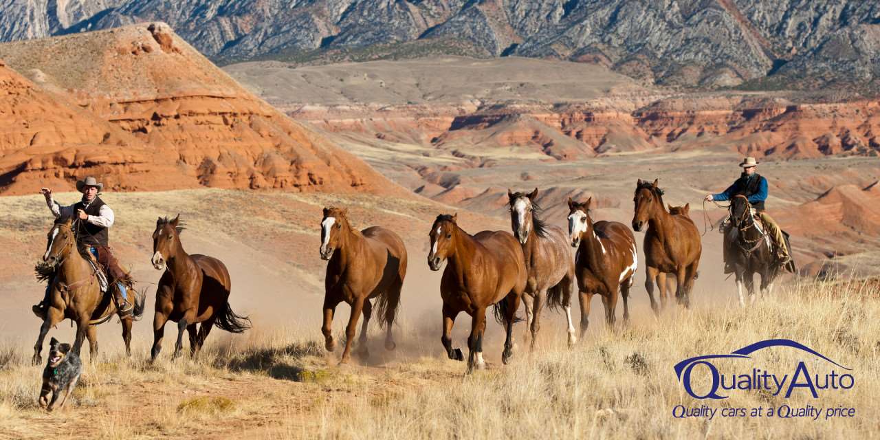 Used Trucks For Sale Near Me Gillette, WY Quality Auto of Gillette