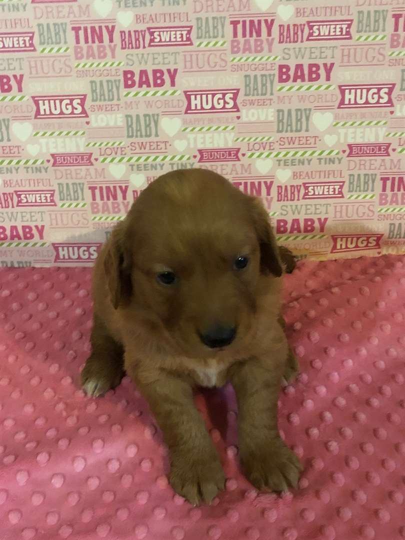 KELOLAND Classifieds Sioux Falls, SD KELOLAND