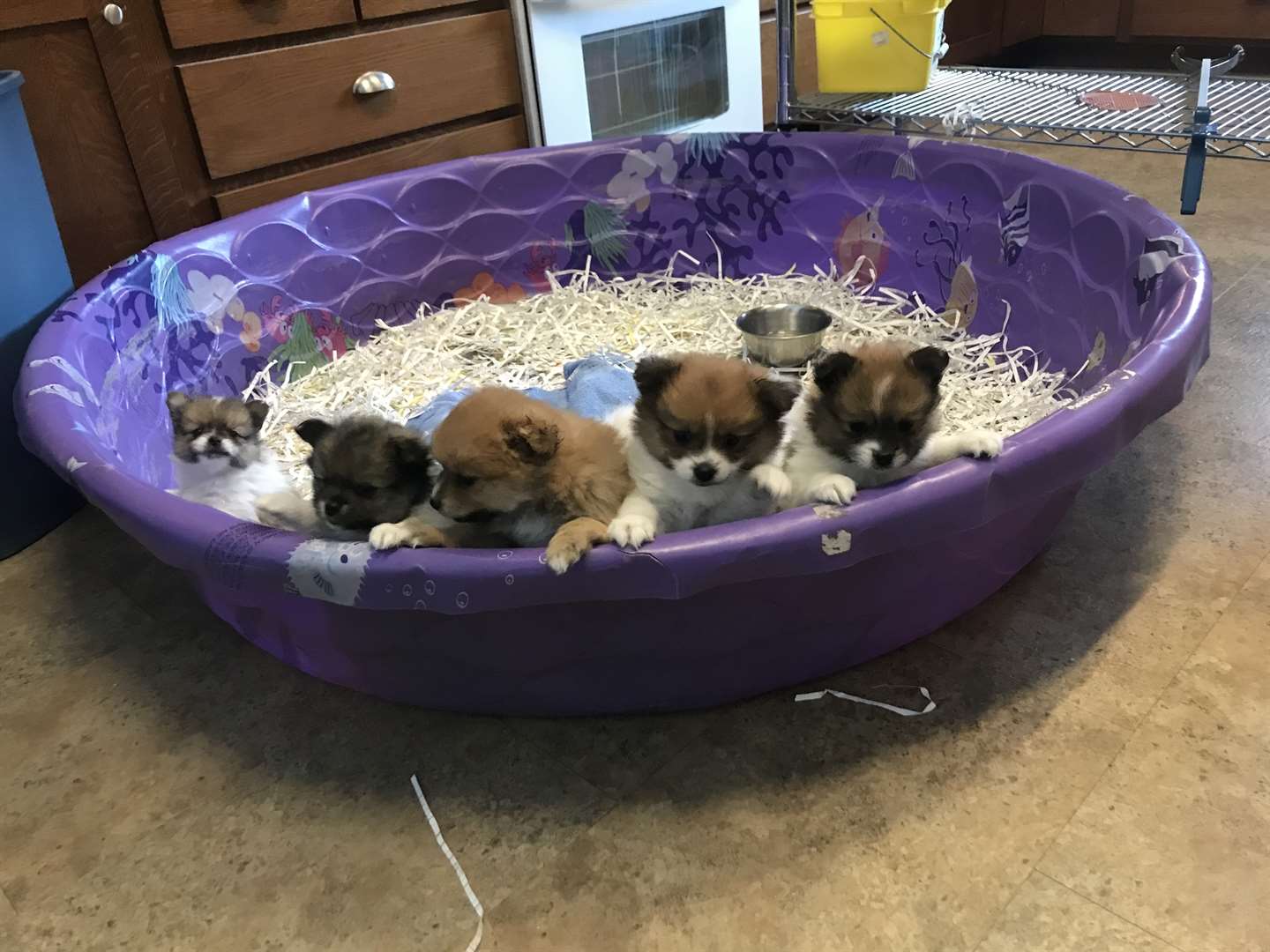 KELOLAND Classifieds Sioux Falls, SD KELOLAND