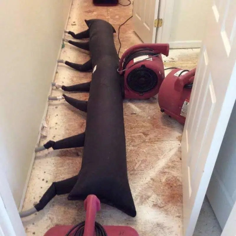 Drying Out Car Electrics A Comprehensive Guide Carhampt