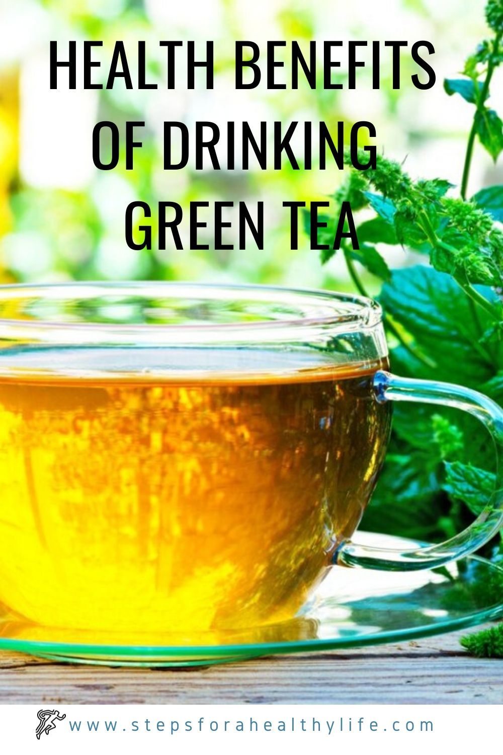 Does Green Tea Slow Metabolism? Carrie Visintainer