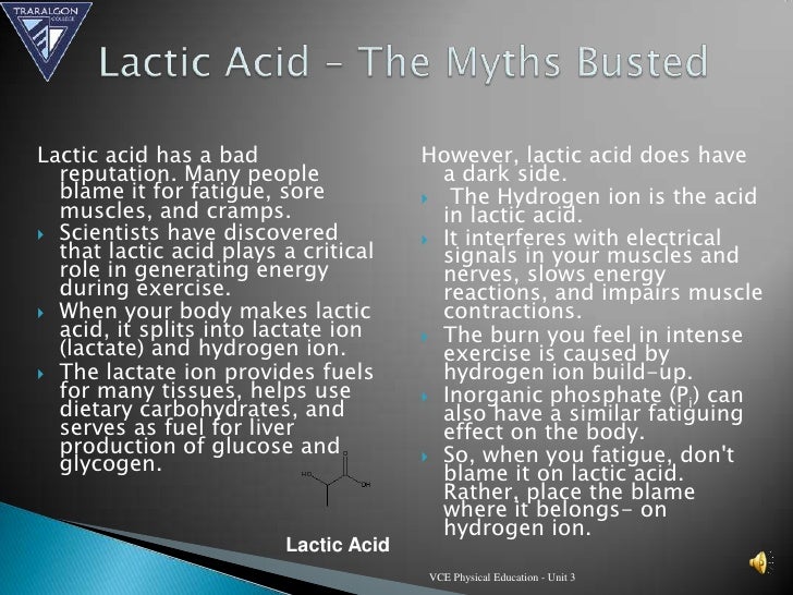 Lactic Acid And Muscle Fatigue Carrie Visintainer
