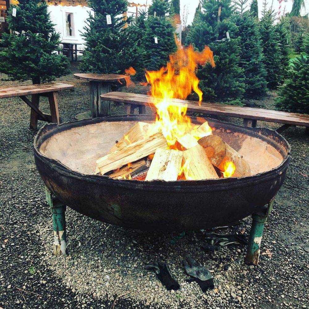 6 Best Christmas Tree Farms in Snohomish Amy Wagner Prime Listings