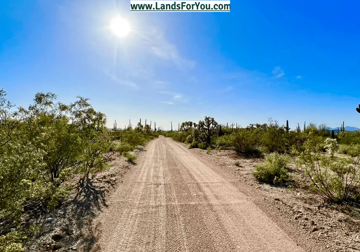 Land for Sale 1 Acre near Meadview in Mohave County for only 249/mo