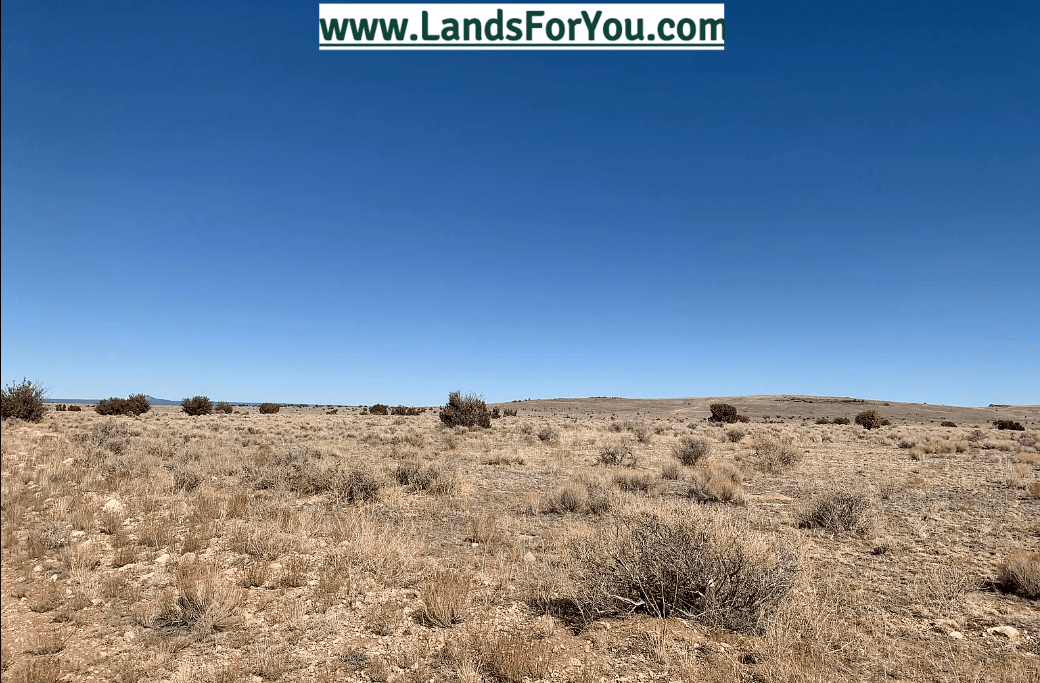 Land for Sale 5 Acres near Williams in Coconino County for only 199