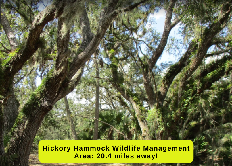 1.5 acres in Okeechobee (Viking Estates) Build your mini farm! The