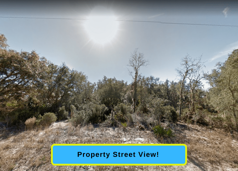 1.25 acres in Bronson, Florida Easy Living Awaits The Lot Source