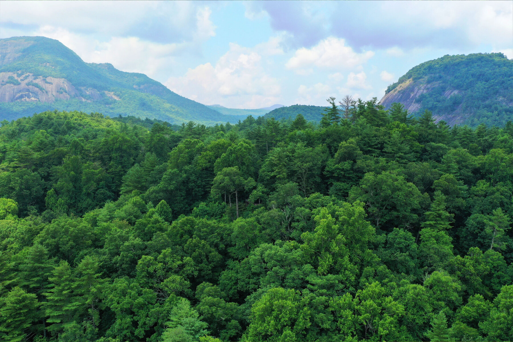 Enchanting Wooded Land in the Mountains 1.75 Acres in Jackson County