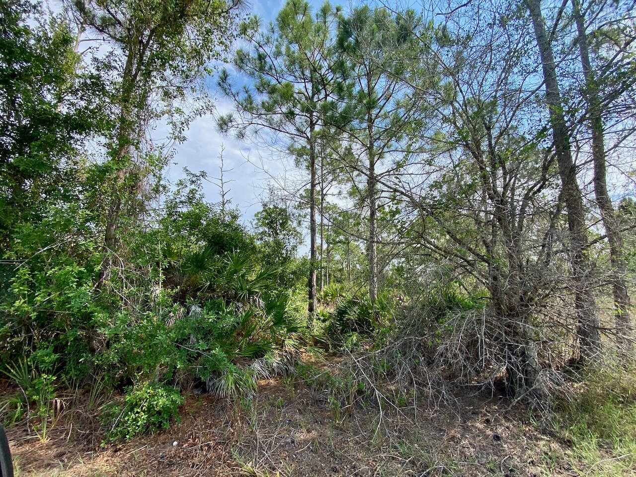 .22Acre Lot in Tropical Gulf Acres, Punta Gorda, FL Burke Land Co.
