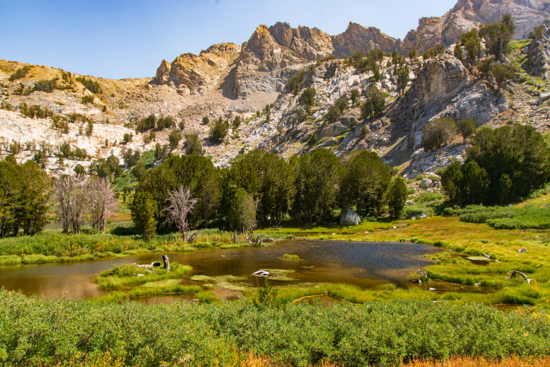 Lamoille Canyon Recreation, Lamoille, NV.