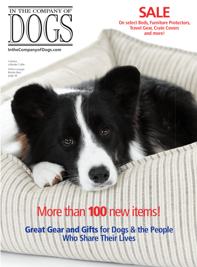 Free Catalog In The Company of Dogs 2022 Mail Order Request