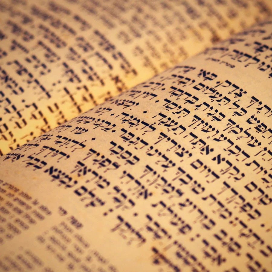 A First Book of Jewish Bible Stories by Hoffman, Mary,.