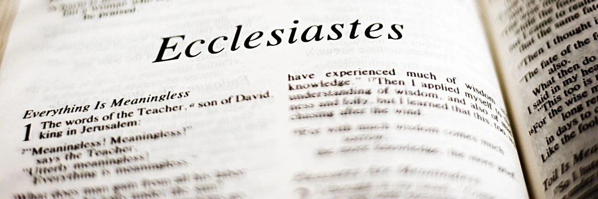 What Are The Extra Books In The Catholic Bible? 7 Powerful.