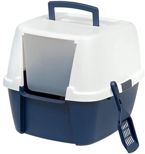 The Perfect Litter Box For Your Persian Cat CatsInfo