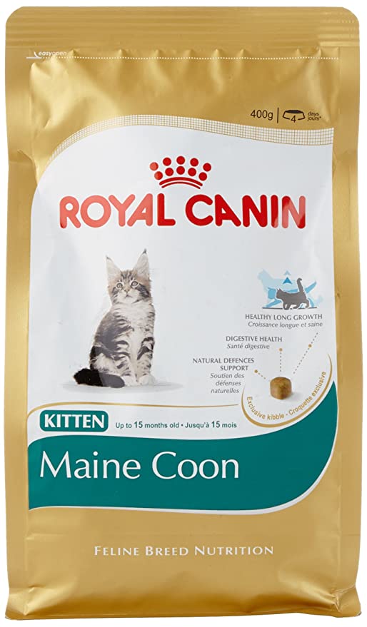 The Best Food Choices For Maine Coon Cats CatsInfo