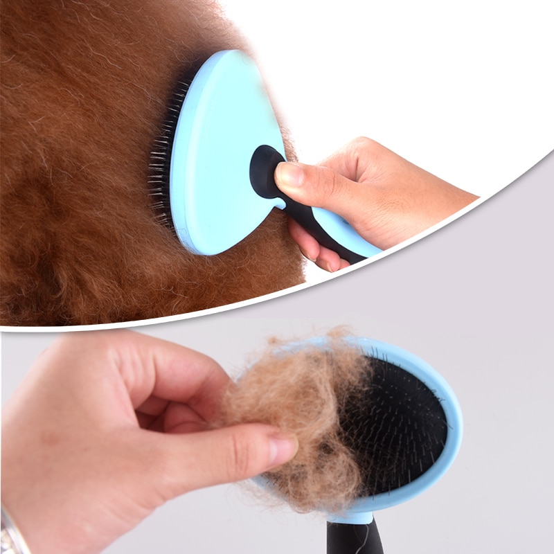 What Can Be Used As Detangler For Maine Coon Cat CatsInfo