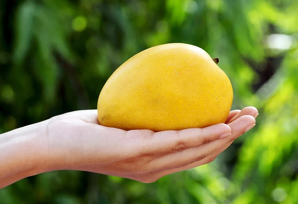 Eating Mango While Pregnant Benefits, Side Effects & more