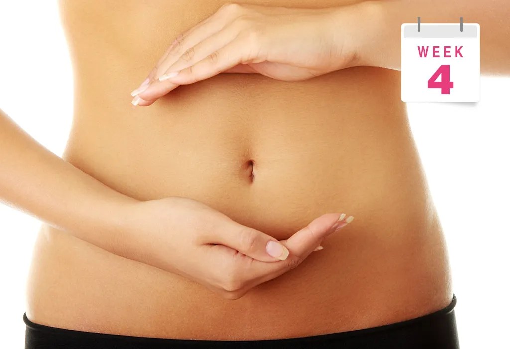 4 Weeks Pregnant: Symptoms, Baby Size, Body Changes & More