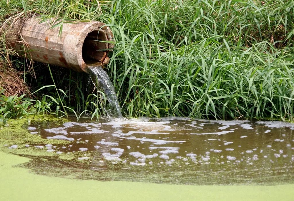 Water Pollution Facts for Kids