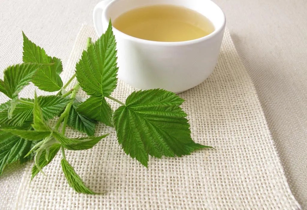 Raspberry Leaf Tea in Pregnancy Benefits, Recipes and Sideeffects